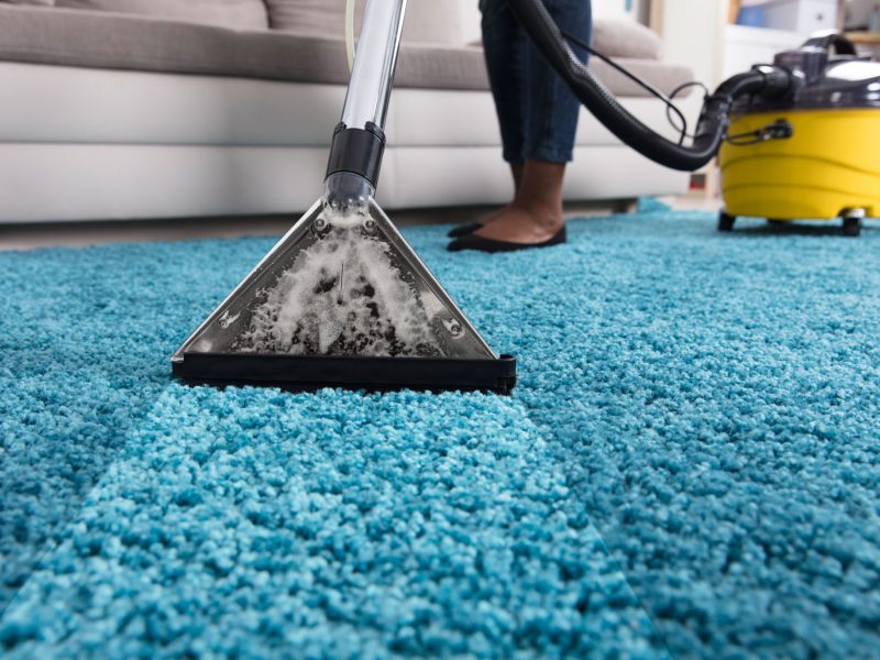 Person Using Vacuum Cleaner For Cleaning Carpet