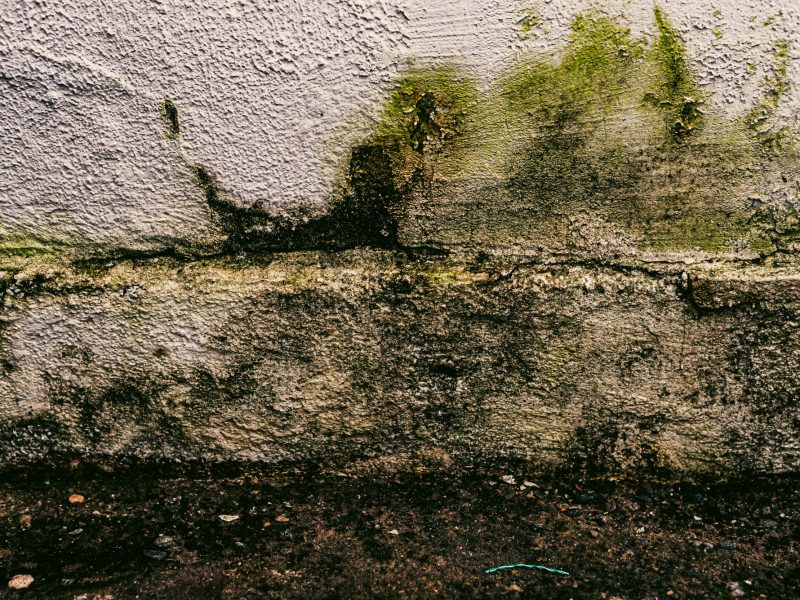 Photo of wall texture pattern